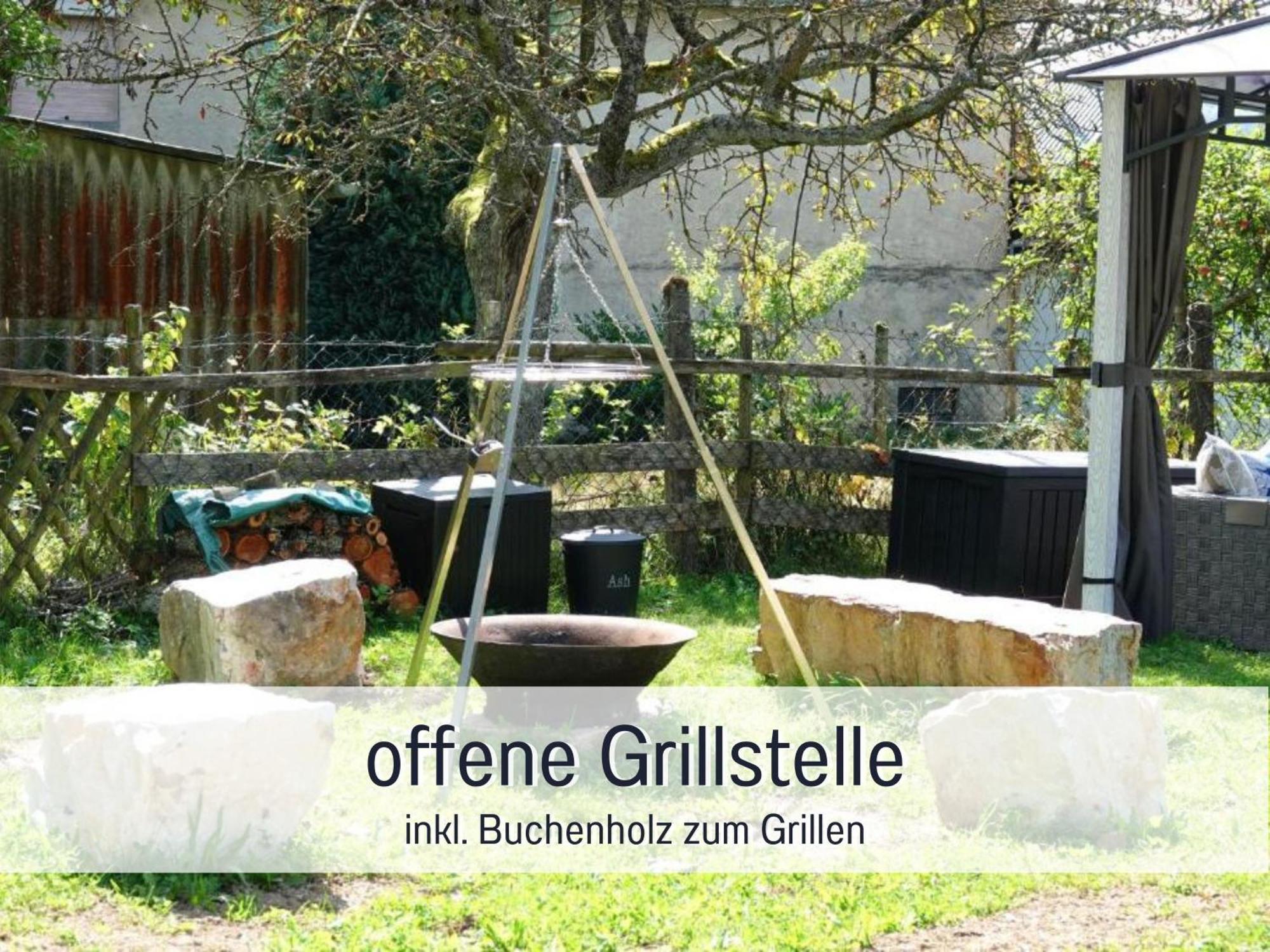 4 Sterne Ferienhaus "Zum Weiher" Allenbach Exterior photo