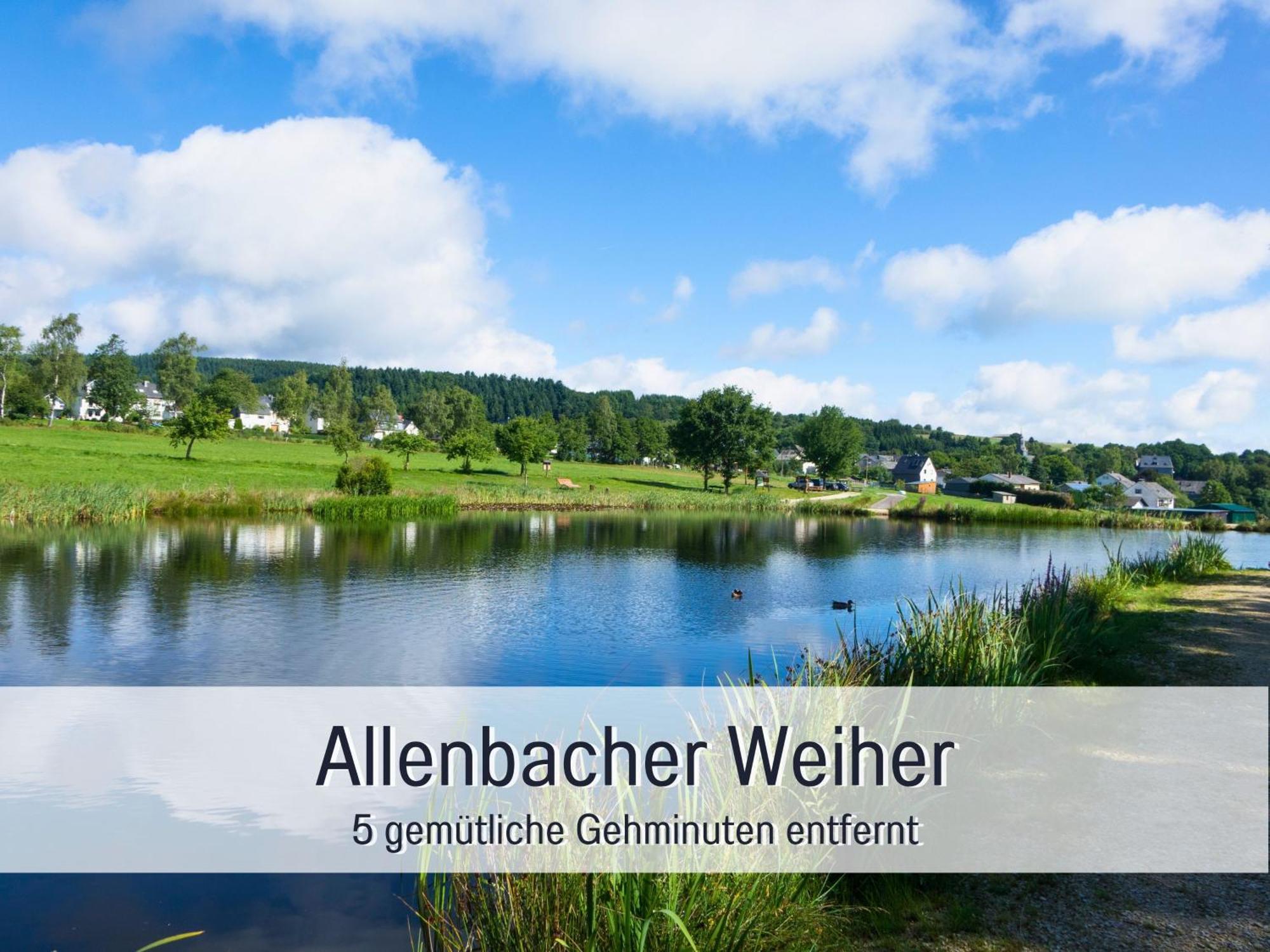 4 Sterne Ferienhaus "Zum Weiher" Allenbach Exterior photo